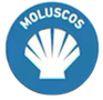 moluscos